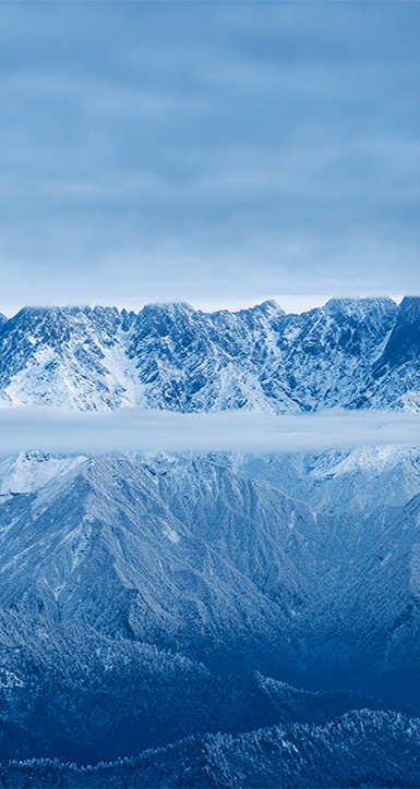 关于6165cc金沙总站